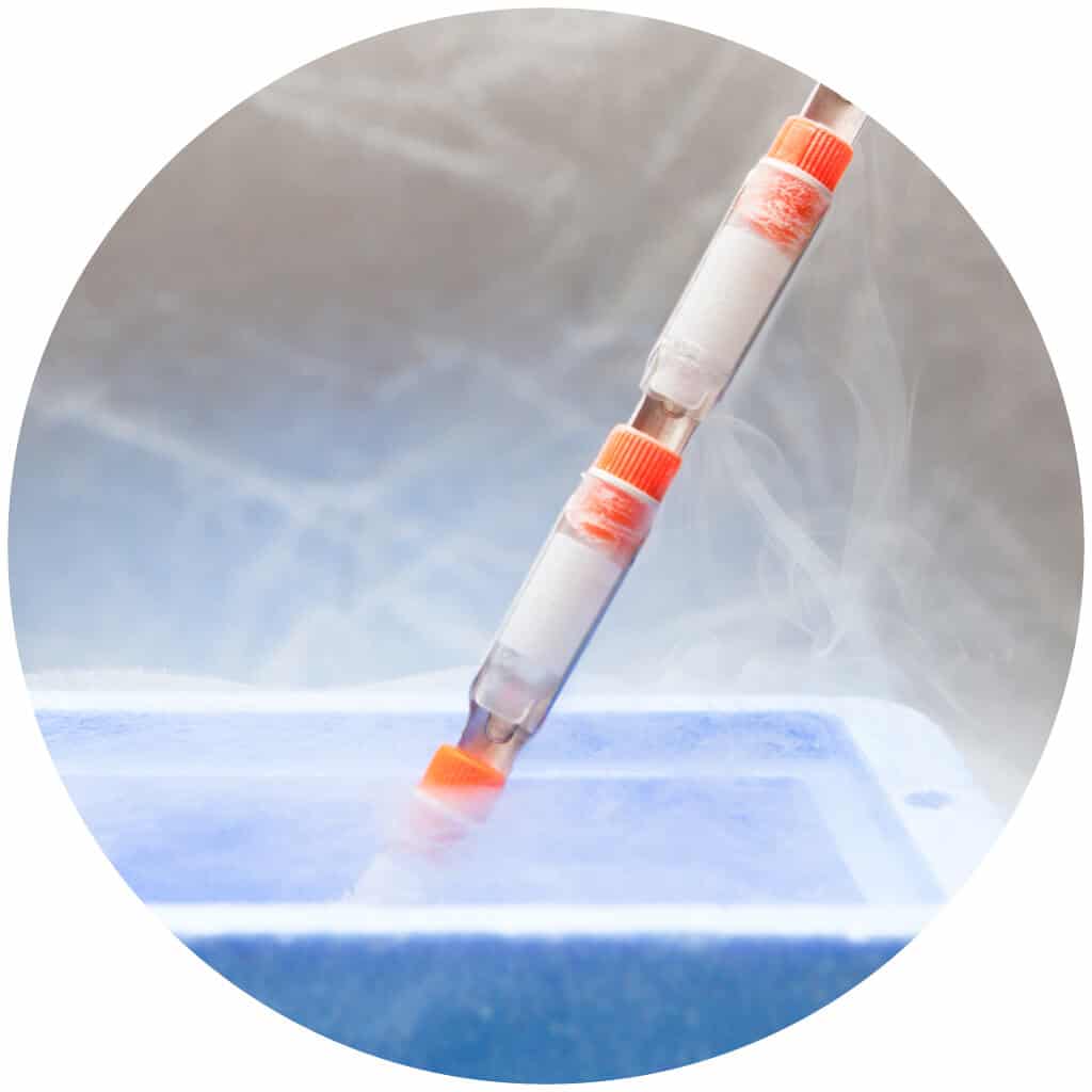 ฝากไข่-ระบบแช่แข็งแบบ-Vitrification